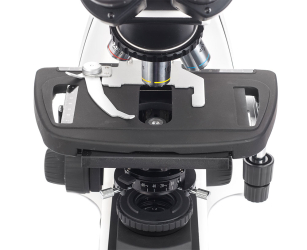 Additional image Microscope SIGETA BIOGENIC 40x-2000x LED Trino Infinity №6