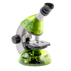 Additional image Microscope SIGETA Mixi 40x-640x №8